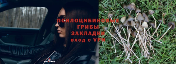 МДПВ Аркадак