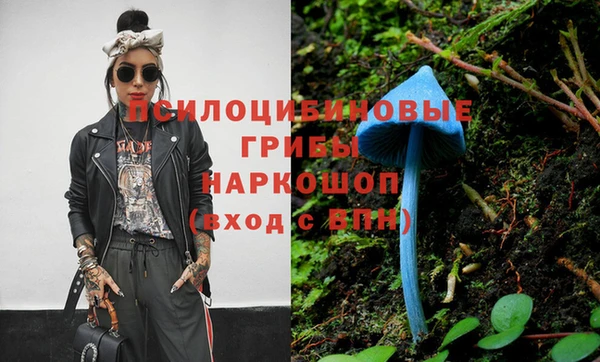 МДПВ Аркадак